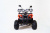 Электроквадроцикл OffRoad Mini 750w 20ah